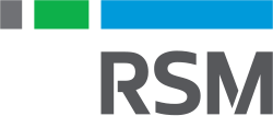 RSM Germany Connected for Success